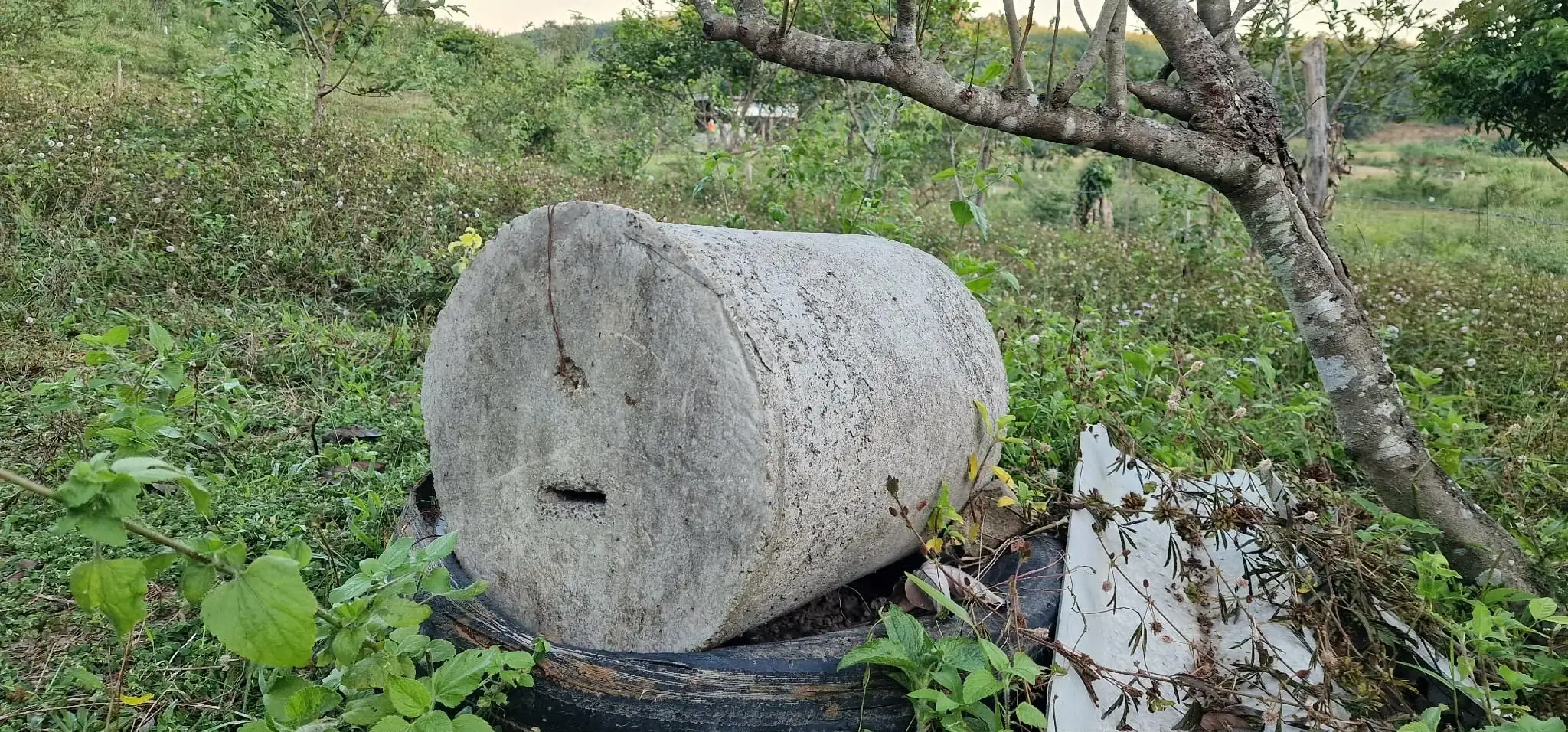 Traditional cement bee house in jungle setting in Thailand
