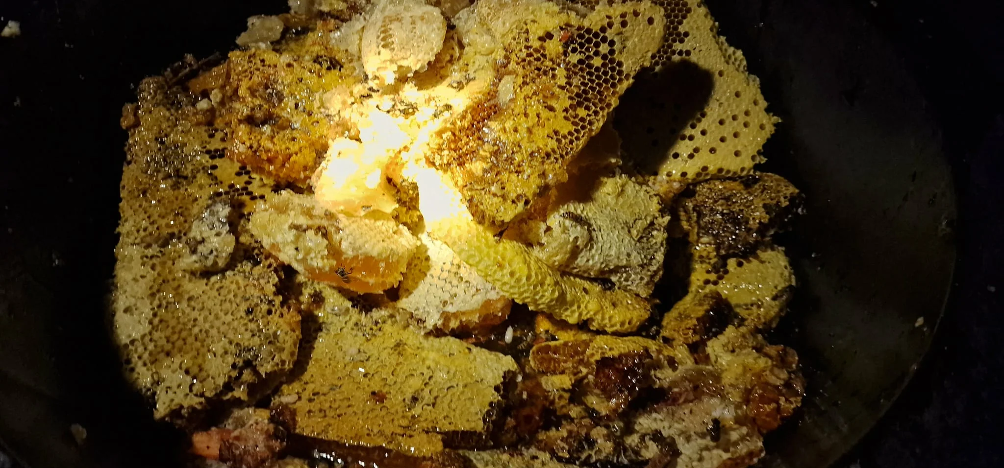 Fresh golden honey from Thai jungle bees