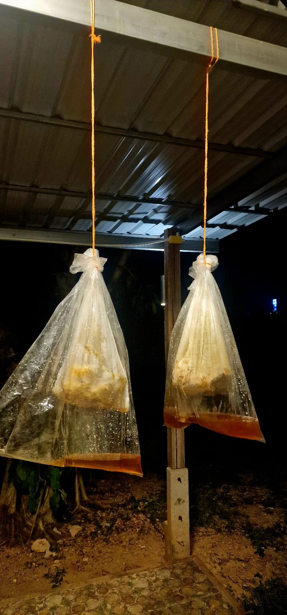 Traditional honey collection process